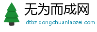 无为而成网